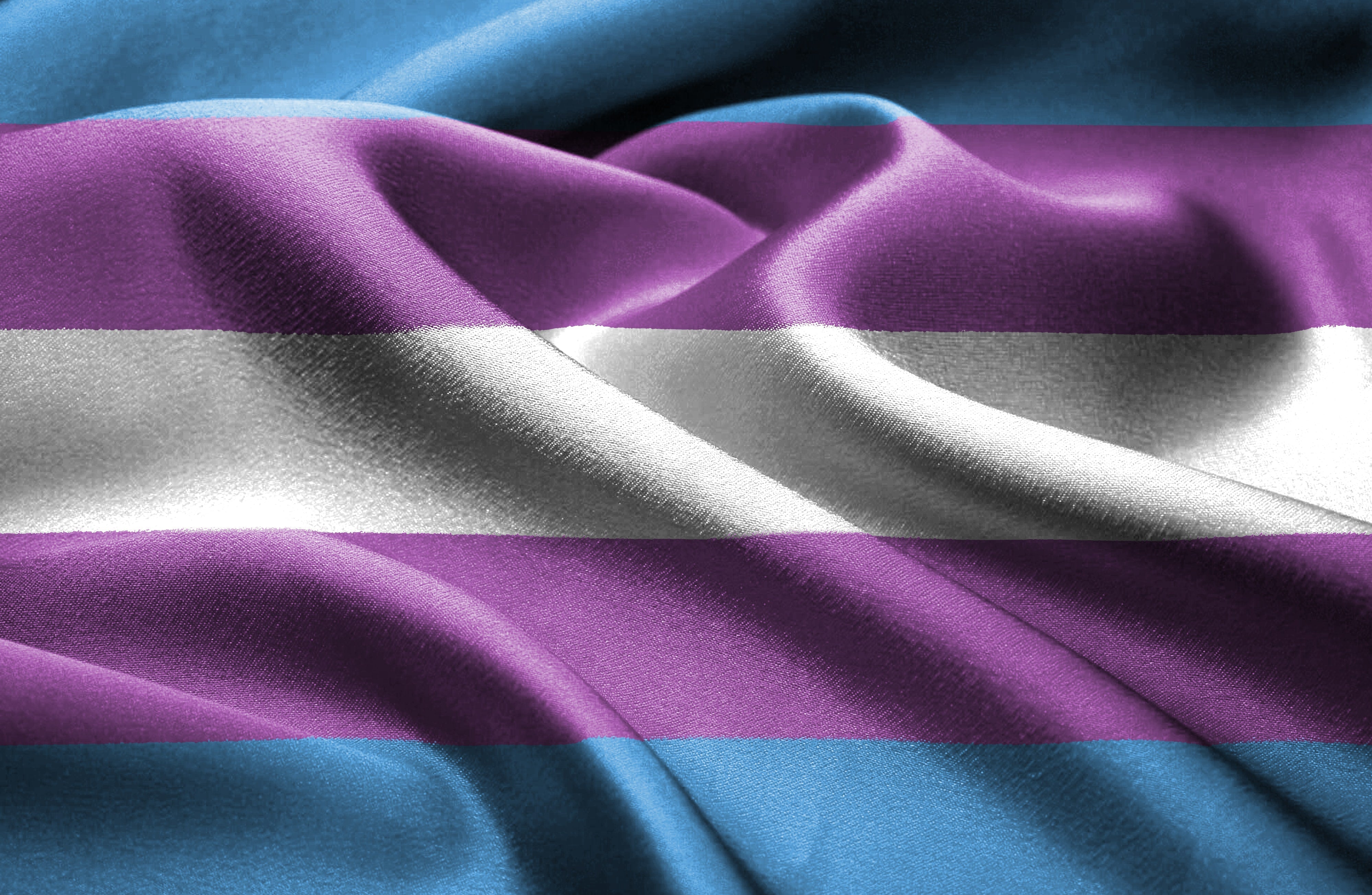 Trans* Awareness Week: Sichtbarkeit und Solidarität