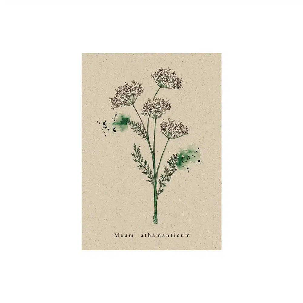 Vegan produzierte A6 Postkarte, Grußkarte, Dankeskarte, Geburtstagskarte, Einladungskarte, Glückwunschkarte, Geschenkbeilage oder Karte zum Verschenken aus Graspapier von matabooks