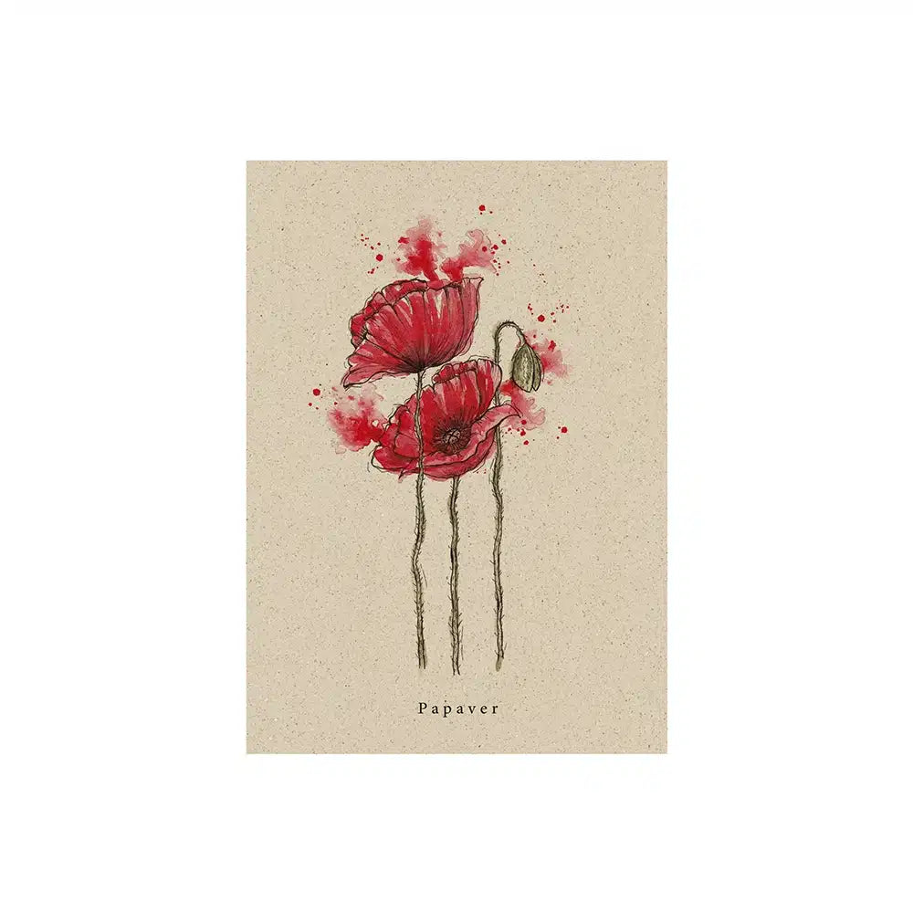 Vegan produzierte A6 Postkarte, Grußkarte, Dankeskarte, Geburtstagskarte, Einladungskarte, Glückwunschkarte, Geschenkbeilage oder Karte zum Verschenken aus Graspapier von matabooks