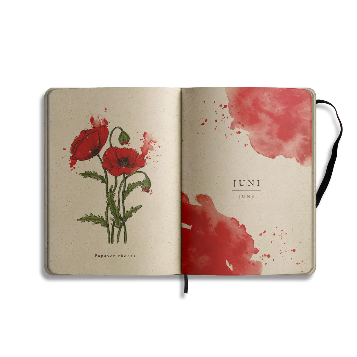 Vegan produzierter Jahresplaner, Jahreskalender, Kalender, Familienkalender, Notizbuch, Tagebuch, Terminplaner, Achtsamkeitstagebuch, Bullet Journal, Reisetagebuch, Dankbarkeitstagebuch, Hausaufgabenheft, Uni-Planer, Taschenkalender, Buchkalender, Business-Planer, Wochenplaner A5 aus Graspapier von matabooks
