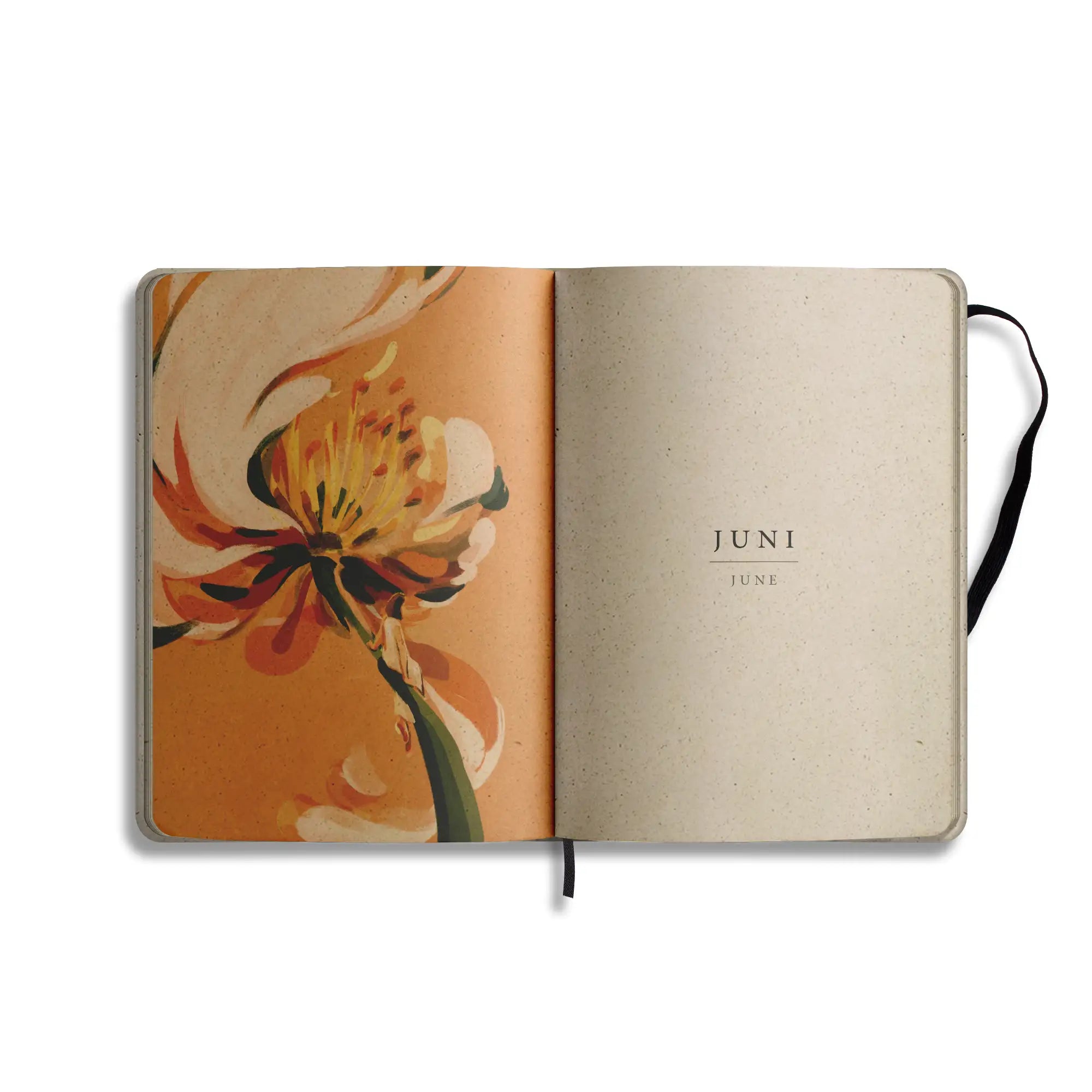 Vegan produzierter Jahresplaner, Jahreskalender, Kalender, Familienkalender, Notizbuch, Tagebuch, Terminplaner, Achtsamkeitstagebuch, Bullet Journal, Reisetagebuch, Dankbarkeitstagebuch, Hausaufgabenheft, Uni-Planer, Taschenkalender, Buchkalender, Business-Planer, Wochenplaner A5 aus Graspapier von matabooks