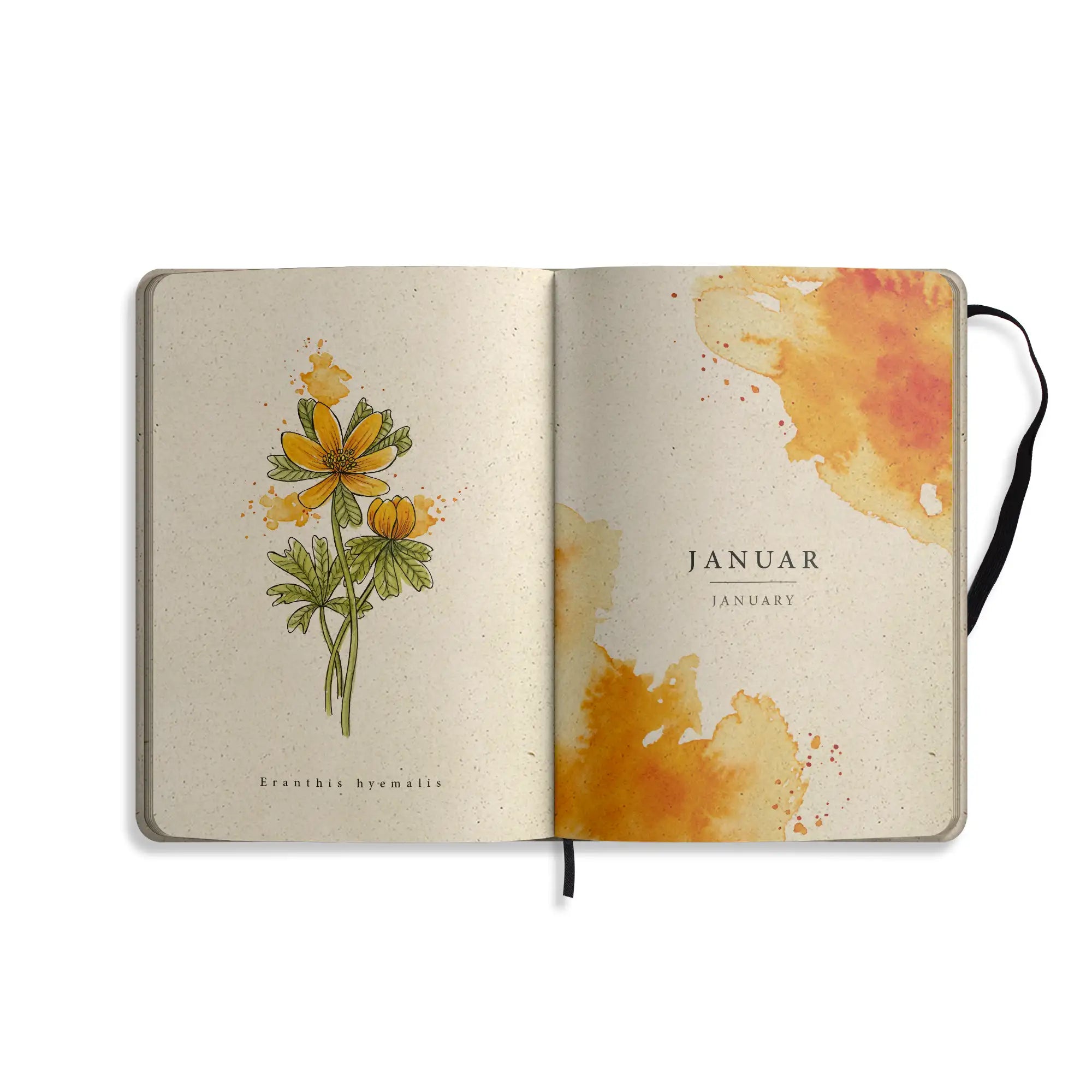 Vegan produzierter Jahresplaner, Jahreskalender, Kalender, Familienkalender, Notizbuch, Tagebuch, Terminplaner, Achtsamkeitstagebuch, Bullet Journal, Reisetagebuch, Dankbarkeitstagebuch, Hausaufgabenheft, Uni-Planer, Taschenkalender, Buchkalender, Business-Planer, Wochenplaner A5 aus Graspapier von matabooks