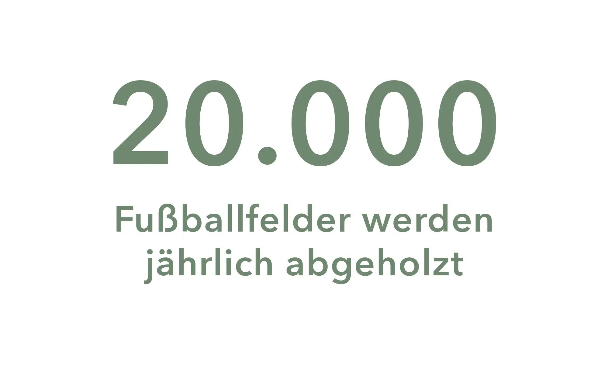 20.000 Fußballfelder werden jährlich abgeholzt