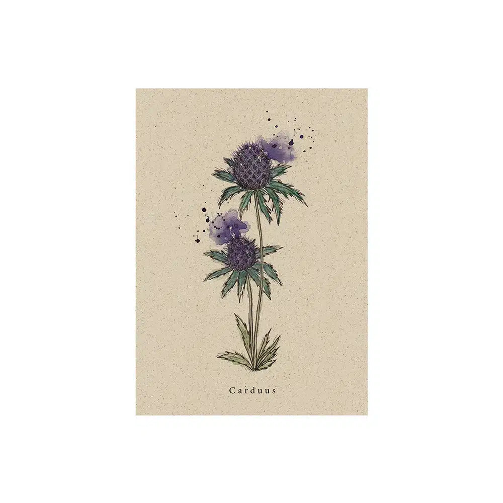 Vegan produzierte A6 Postkarte, Grußkarte, Dankeskarte, Geburtstagskarte, Einladungskarte, Glückwunschkarte, Geschenkbeilage oder Karte zum Verschenken aus Graspapier von matabooks
