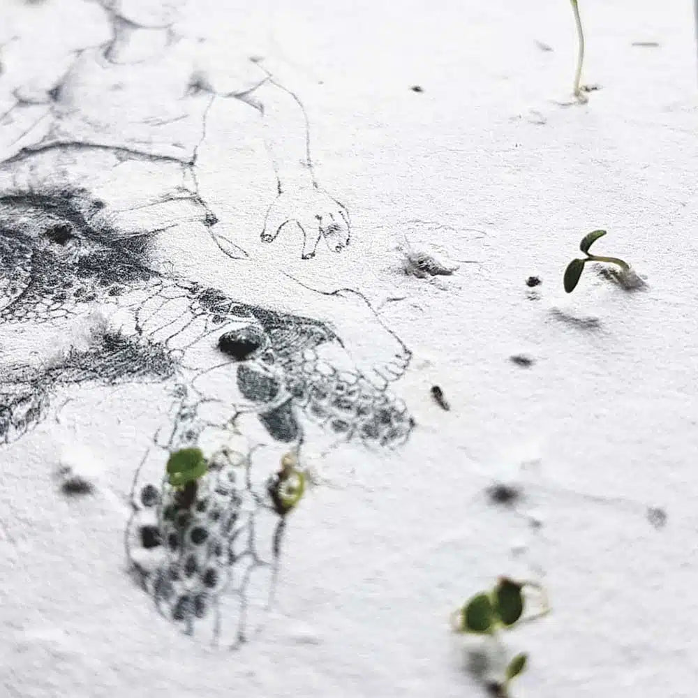 Nahaufnahme Samenpapier, Papier mit Samen von Wildblumen, Samenbuch von matabooks
