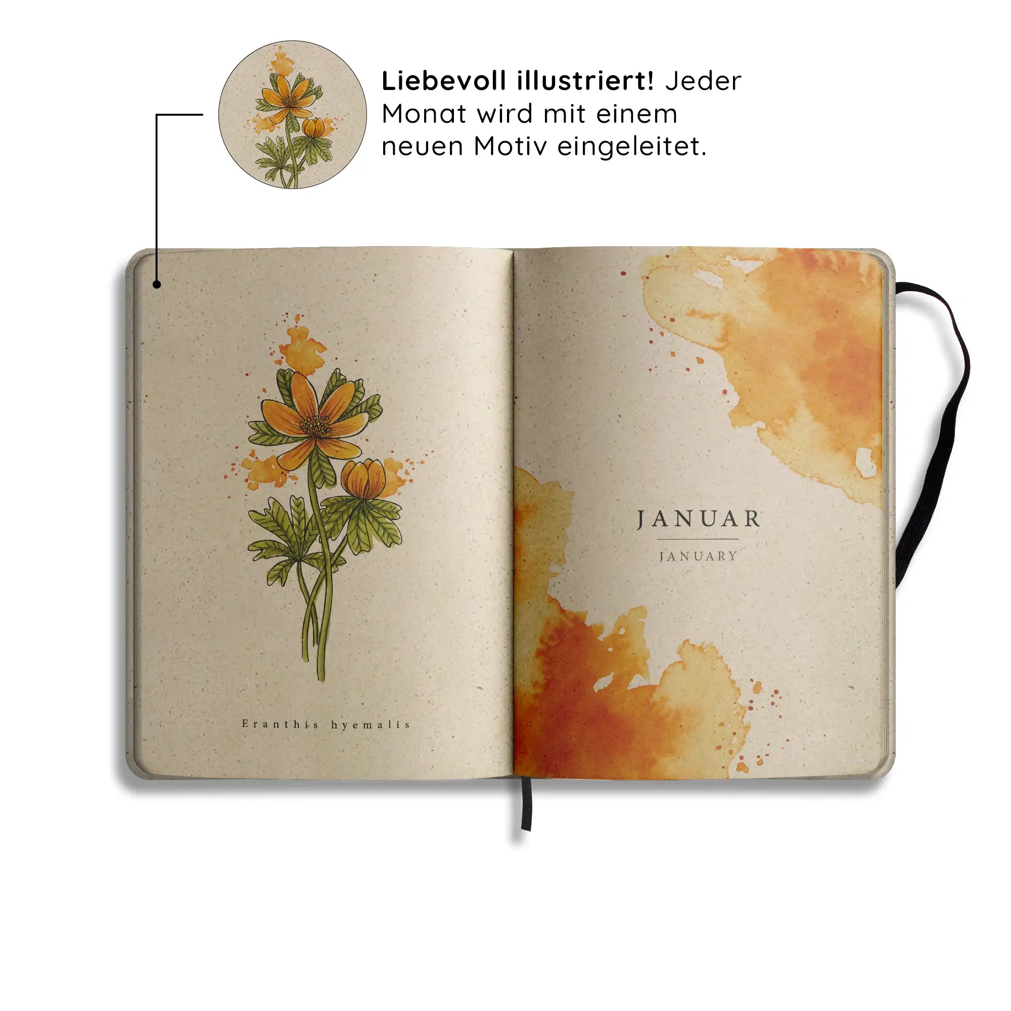 Vegan produzierter Jahresplaner, Jahreskalender, Kalender, Familienkalender, Notizbuch, Tagebuch, Terminplaner, Achtsamkeitstagebuch, Bullet Journal, Reisetagebuch, Dankbarkeitstagebuch, Hausaufgabenheft, Uni-Planer, Taschenkalender, Buchkalender, Business-Planer, Wochenplaner A5 aus Graspapier von matabooks