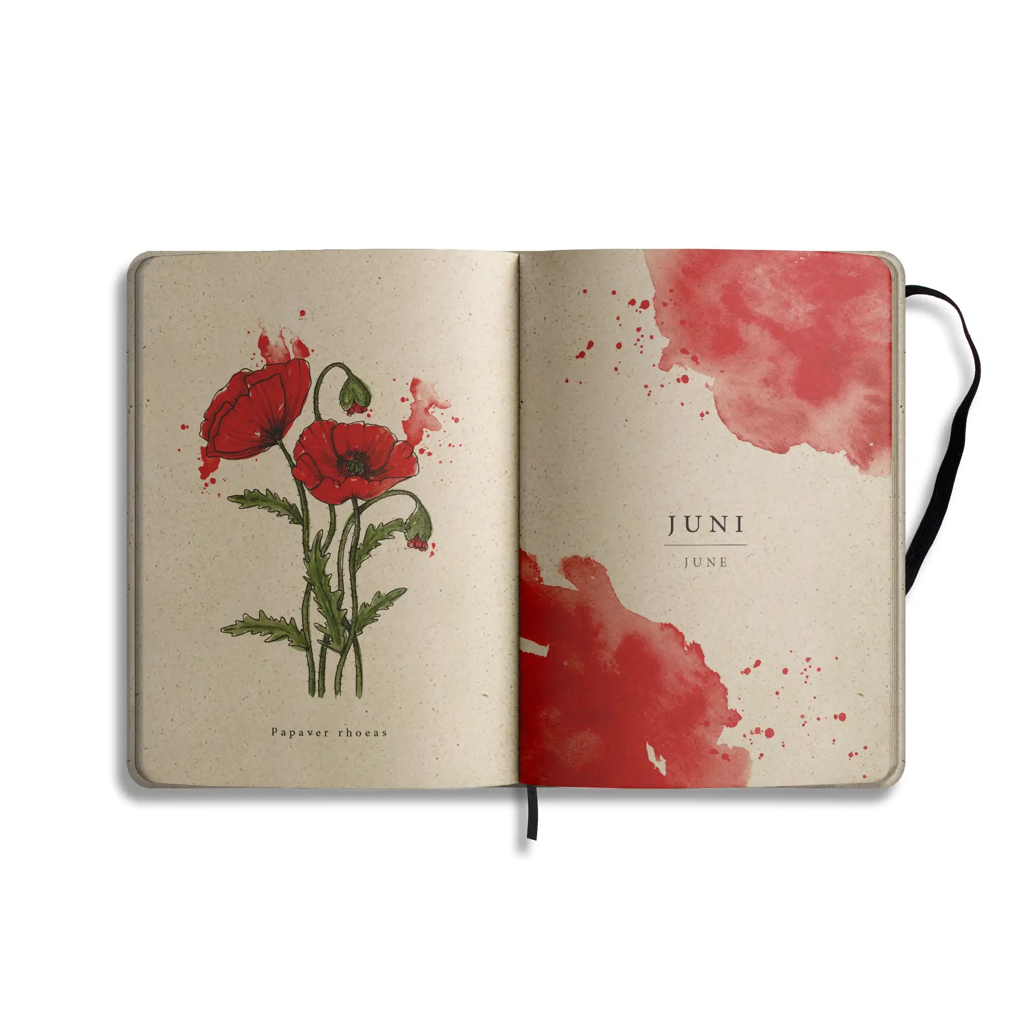 Vegan produzierter Jahresplaner, Jahreskalender, Kalender, Familienkalender, Notizbuch, Tagebuch, Terminplaner, Achtsamkeitstagebuch, Bullet Journal, Reisetagebuch, Dankbarkeitstagebuch, Hausaufgabenheft, Uni-Planer, Taschenkalender, Buchkalender, Business-Planer, Wochenplaner A5 aus Graspapier von matabooks
