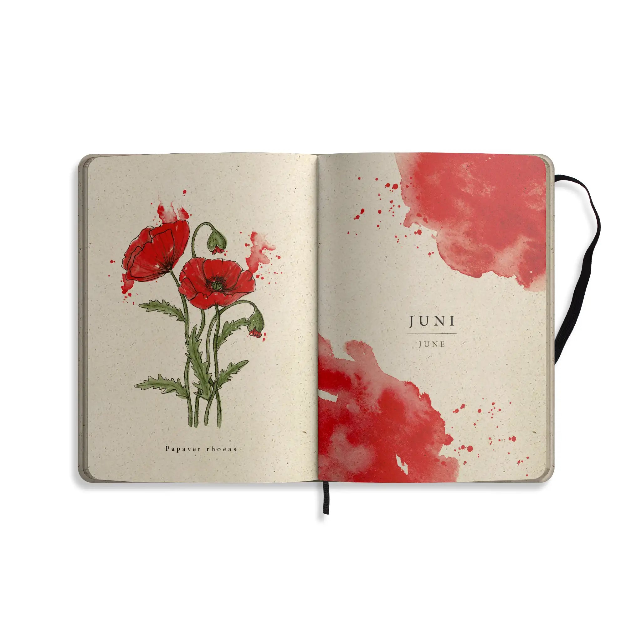 Vegan produzierter Jahresplaner, Jahreskalender, Kalender, Familienkalender, Notizbuch, Tagebuch, Terminplaner, Achtsamkeitstagebuch, Bullet Journal, Reisetagebuch, Dankbarkeitstagebuch, Hausaufgabenheft, Uni-Planer, Taschenkalender, Buchkalender, Business-Planer, Wochenplaner A5 aus Graspapier von matabooks