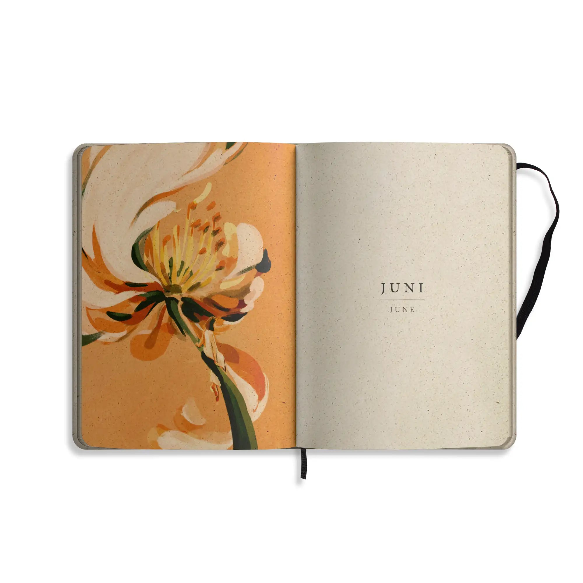 Vegan produzierter Jahresplaner, Jahreskalender, Kalender, Familienkalender, Notizbuch, Tagebuch, Terminplaner, Achtsamkeitstagebuch, Bullet Journal, Reisetagebuch, Dankbarkeitstagebuch, Hausaufgabenheft, Uni-Planer, Taschenkalender, Buchkalender, Business-Planer, Wochenplaner A5 aus Graspapier von matabooks